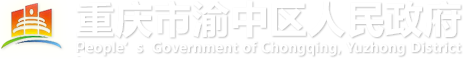 渝中区政府网披露巴渝公益 2015 年度年检报告